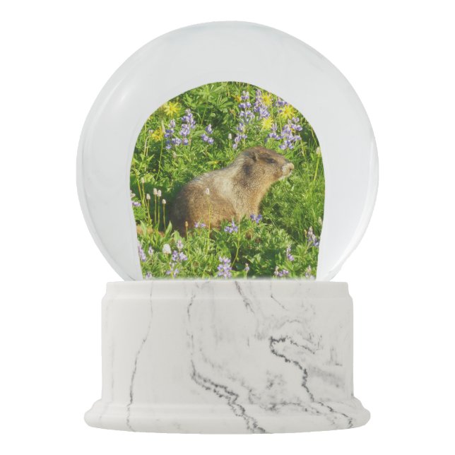 Marmot in Mount Rainier Wildflowers Snow Globe (Front)