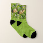 Marmot in Mount Rainier Wildflowers Socks