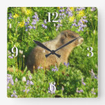 Marmot in Mount Rainier Wildflowers Square Wall Clock