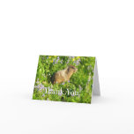 Marmot in Mount Rainier Wildflowers Thank You Card