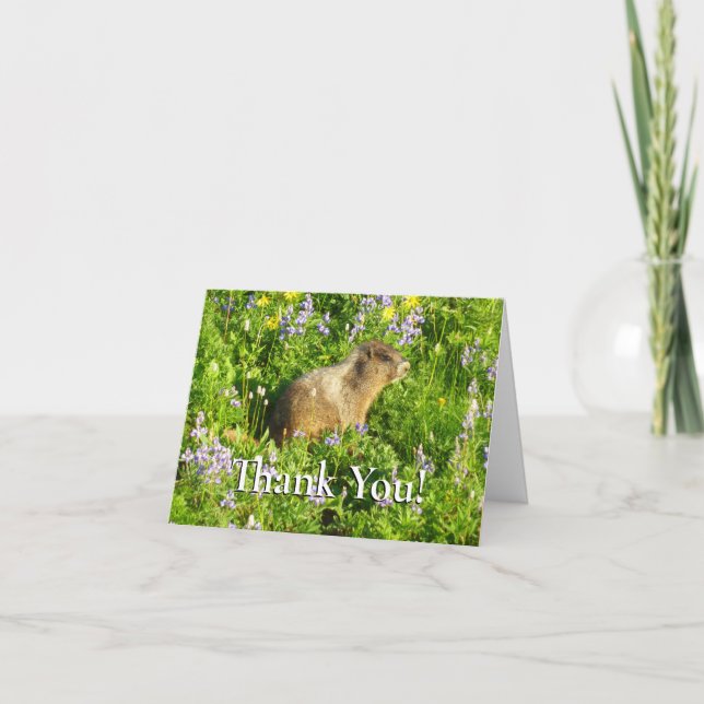 Marmot in Mount Rainier Wildflowers Thank You Card (Front)