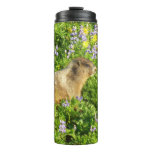Marmot in Mount Rainier Wildflowers Thermal Tumbler