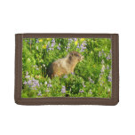 Marmot in Mount Rainier Wildflowers Trifold Wallet