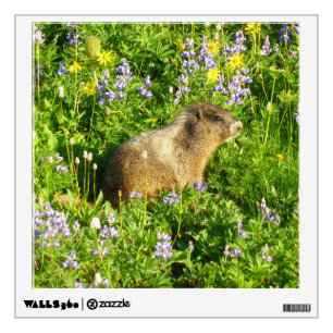 Marmot in Mount Rainier Wildflowers Wall Decal