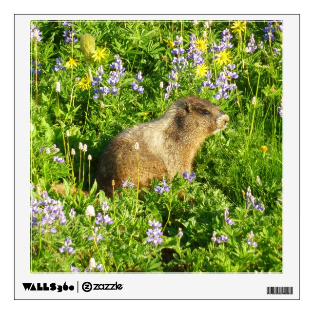 Marmot in Mount Rainier Wildflowers Wall Decal (Front)