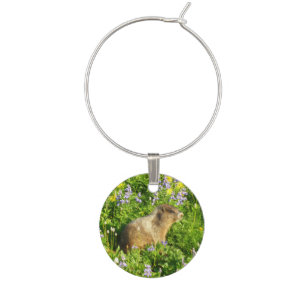 Marmot in Mount Rainier Wildflowers Wine Charm