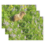 Marmot in Mount Rainier Wildflowers Wrapping Paper Sheets
