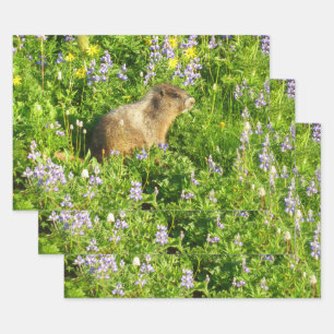 Marmot in Mount Rainier Wildflowers Wrapping Paper Sheets