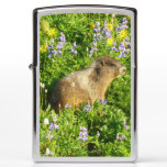 Marmot in Mount Rainier Wildflowers Zippo Lighter