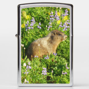Marmot in Mount Rainier Wildflowers Zippo Lighter