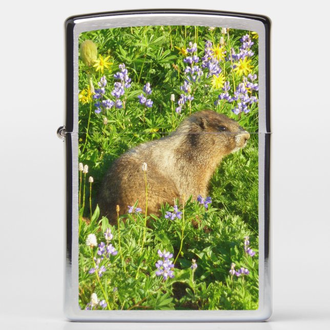 Marmot in Mount Rainier Wildflowers Zippo Lighter (Front)