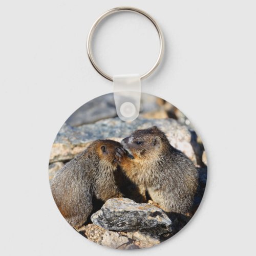 marmot keychain