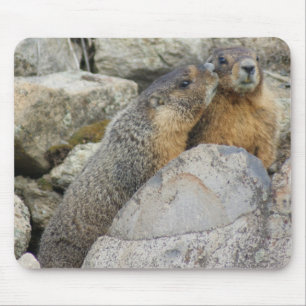 Marmot Love Mouse Pad
