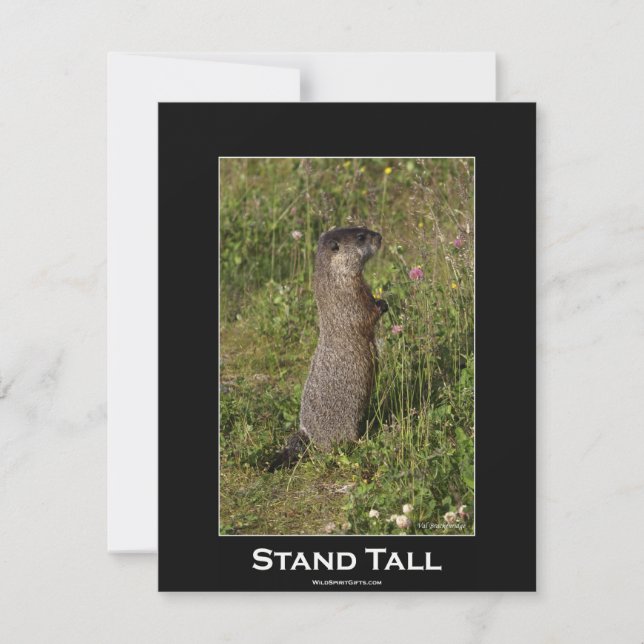 Marmot Motivational Invitation Card (Front)