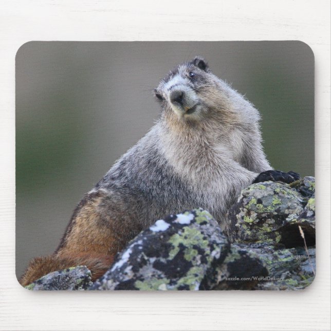 Marmot Mouse Pad (Front)