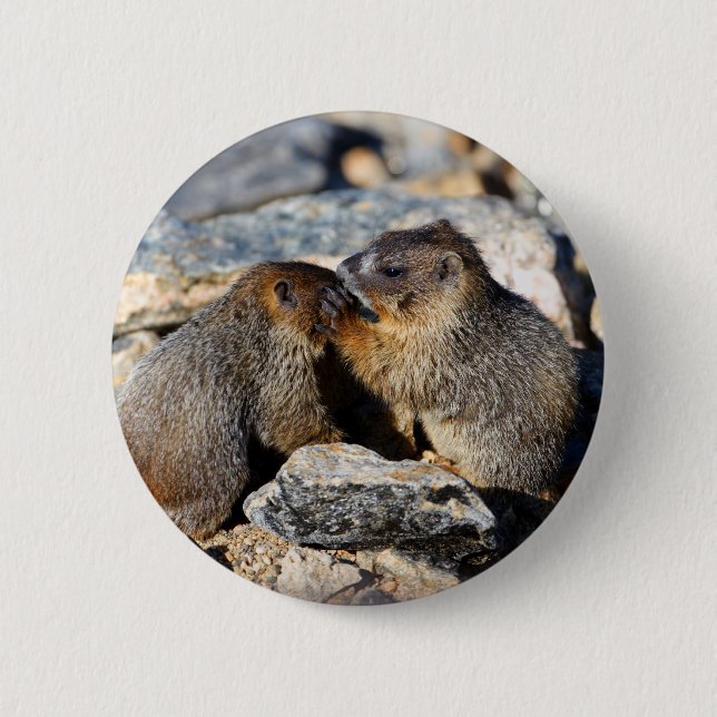 marmot pinback button (Front)