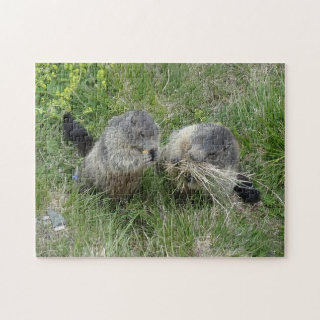 Marmot puzzle (Horizontal)