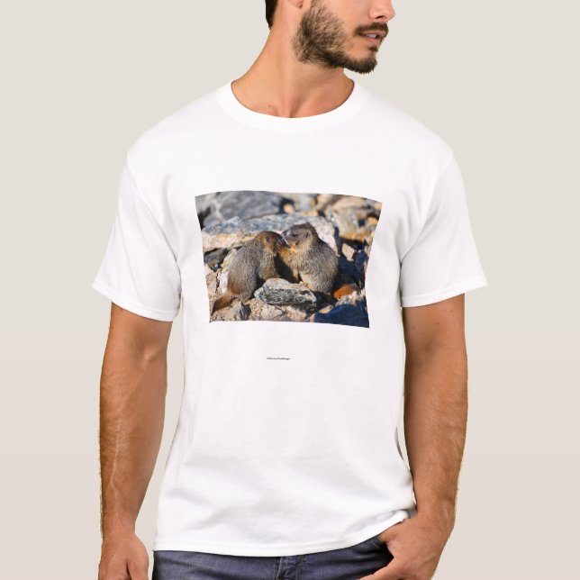 Marmot T-Shirt (Front)
