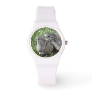 Marmot watches