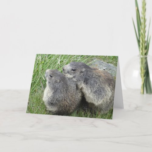 Marmots greeting card