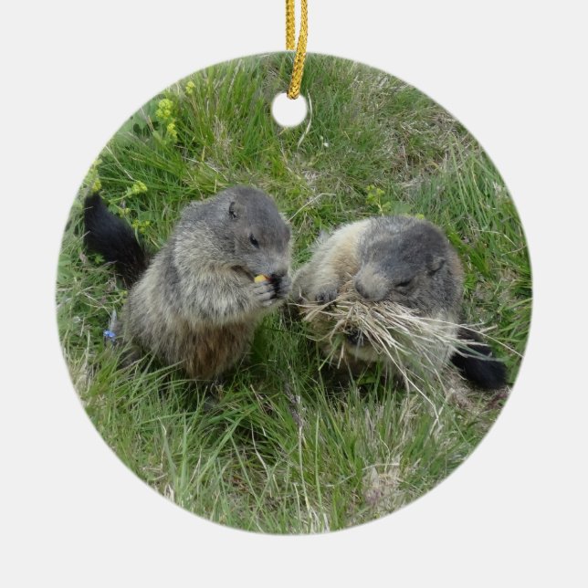Marmots ornament (Front)