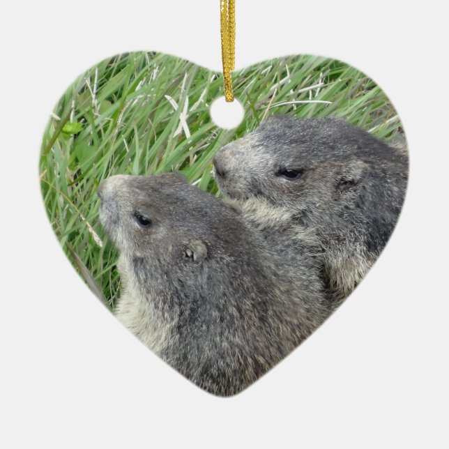 Marmots ornament (Front)