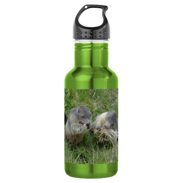 Marmots Stainless Steel Water Bottle (Front)