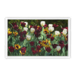 Maroon and Yellow Tulips Colorful Floral Acrylic Tray