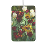 Maroon and Yellow Tulips Colorful Floral Air Freshener