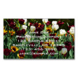 Maroon and Yellow Tulips Colorful Floral Business Card Magnet