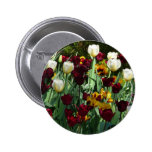 Maroon and Yellow Tulips Colorful Floral Button
