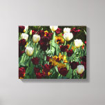 Maroon and Yellow Tulips Colorful Floral Canvas Print