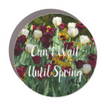 Maroon and Yellow Tulips Colorful Floral Car Magnet