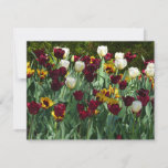 Maroon and Yellow Tulips Colorful Floral Card