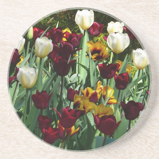 Maroon and Yellow Tulips Colorful Floral Coaster (Front)