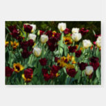 Maroon and Yellow Tulips Colorful Floral Foam Board