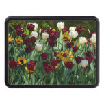 Maroon and Yellow Tulips Colorful Floral Hitch Cover