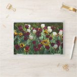 Maroon and Yellow Tulips Colorful Floral HP Laptop Skin