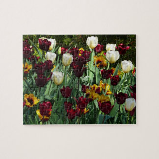 Maroon and Yellow Tulips Colorful Floral Jigsaw Puzzle