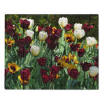 Maroon and Yellow Tulips Colorful Floral Jigsaw Puzzle