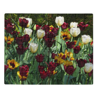 Maroon and Yellow Tulips Colorful Floral Jigsaw Puzzle