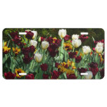 Maroon and Yellow Tulips Colorful Floral License Plate