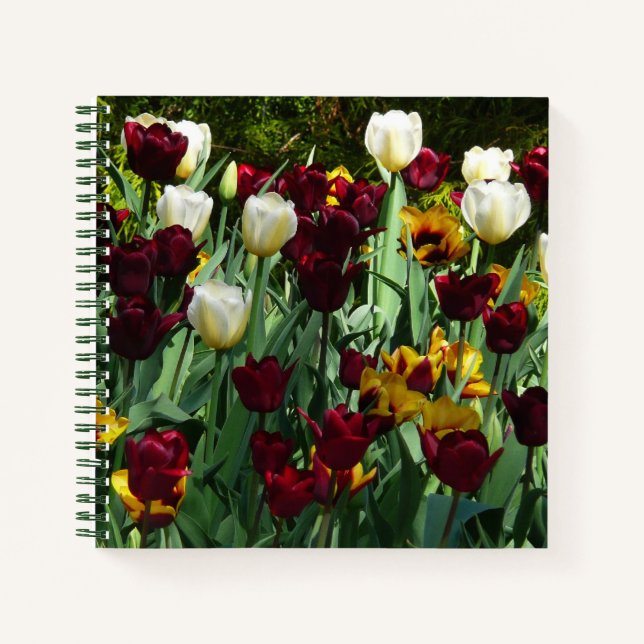 Maroon and Yellow Tulips Colorful Floral Notebook (Front)