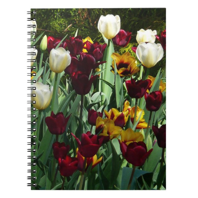 Maroon and Yellow Tulips Colorful Floral Notebook (Front)