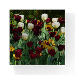 Maroon and Yellow Tulips Colorful Floral Paperweight