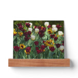 Maroon and Yellow Tulips Colorful Floral Picture Ledge