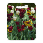 Maroon and Yellow Tulips Colorful Floral Seat Cushion