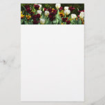 Maroon and Yellow Tulips Colorful Floral Stationery