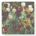 Maroon and Yellow Tulips Colorful Floral Stone Coaster