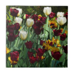 Maroon and Yellow Tulips Colorful Floral Tile
